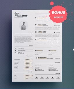 Download Bonus Resume for free, by clicking download button